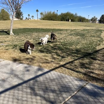 Dog Park at Kellogg-Zaher Sports Complex photo 2
